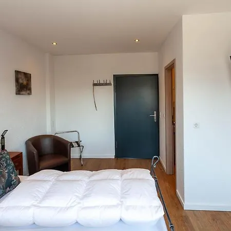 Waldfrieden 3 Mit Dachterrasse Und Grill Braunlage