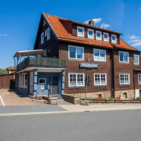 Lejlighed Waldfrieden 3 Mit Dachterrasse Und Grill Braunlage