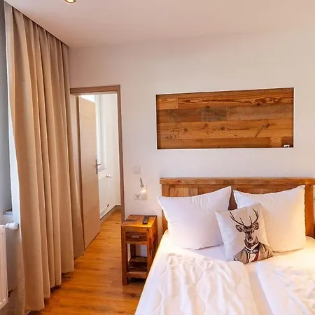 Daire Waldfrieden 3 Mit Dachterrasse Und Grill Braunlage