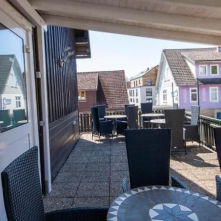 Daire Waldfrieden 3 Mit Dachterrasse Und Grill Braunlage