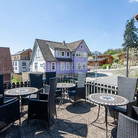 Apartament Waldfrieden 3 Mit Dachterrasse Und Grill *
