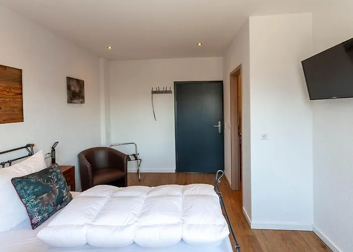 Waldfrieden 3 Mit Dachterrasse Und Grill Braunlage