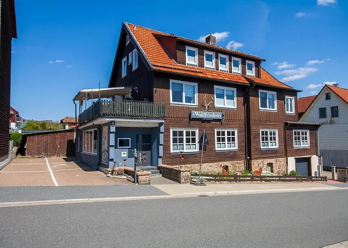 Daire Waldfrieden 3 Mit Dachterrasse Und Grill Braunlage