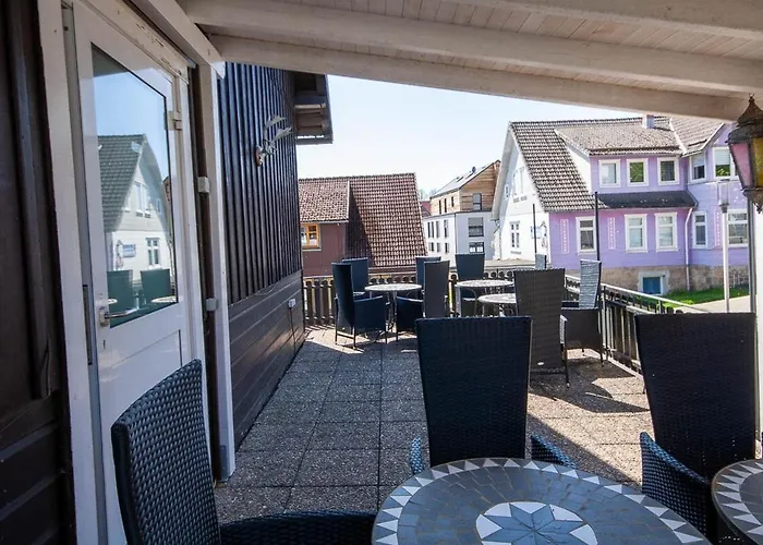 Daire Waldfrieden 3 Mit Dachterrasse Und Grill Braunlage