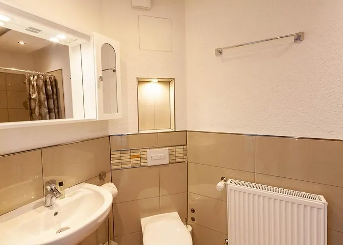 Waldfrieden 3 Mit Dachterrasse Und Grill Braunlage